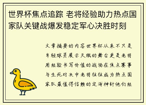 世界杯焦点追踪 老将经验助力热点国家队关键战爆发稳定军心决胜时刻 世界杯焦点追踪 老将经验助力热点国家队关键战爆发稳定军心决胜时刻